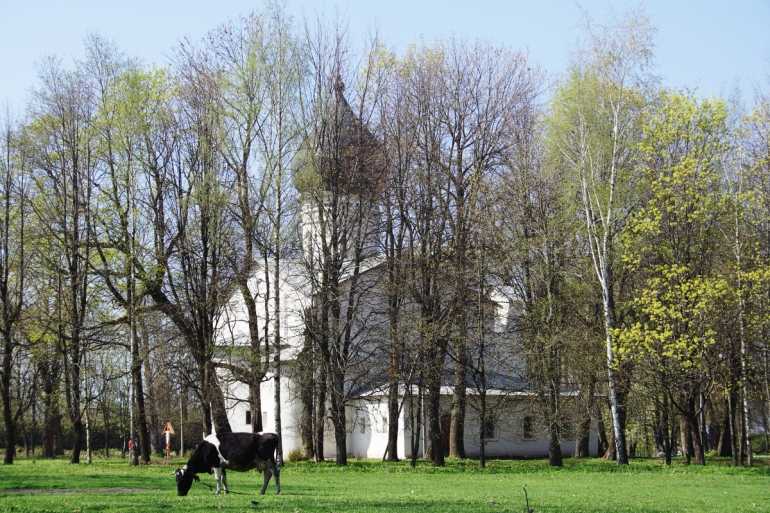 Фото: Галина Ермолаева/Фотобанк Лори. Strana.Ru