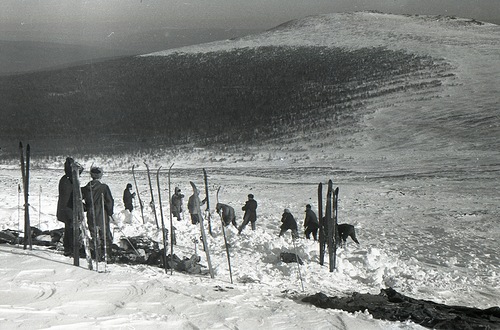 Search party digging.