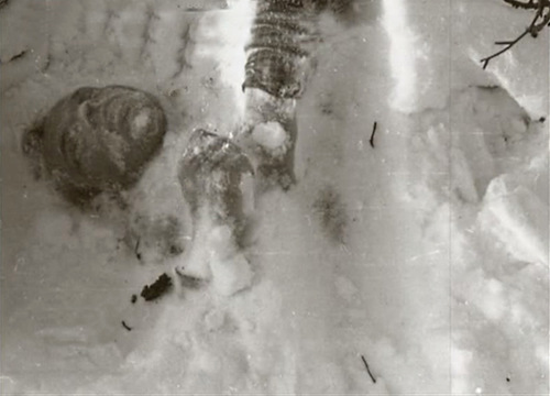 Body in the snow.