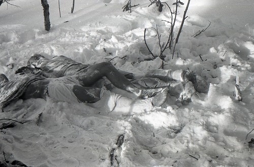Bodies in snow.