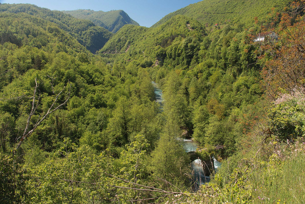 Montenegro-529
