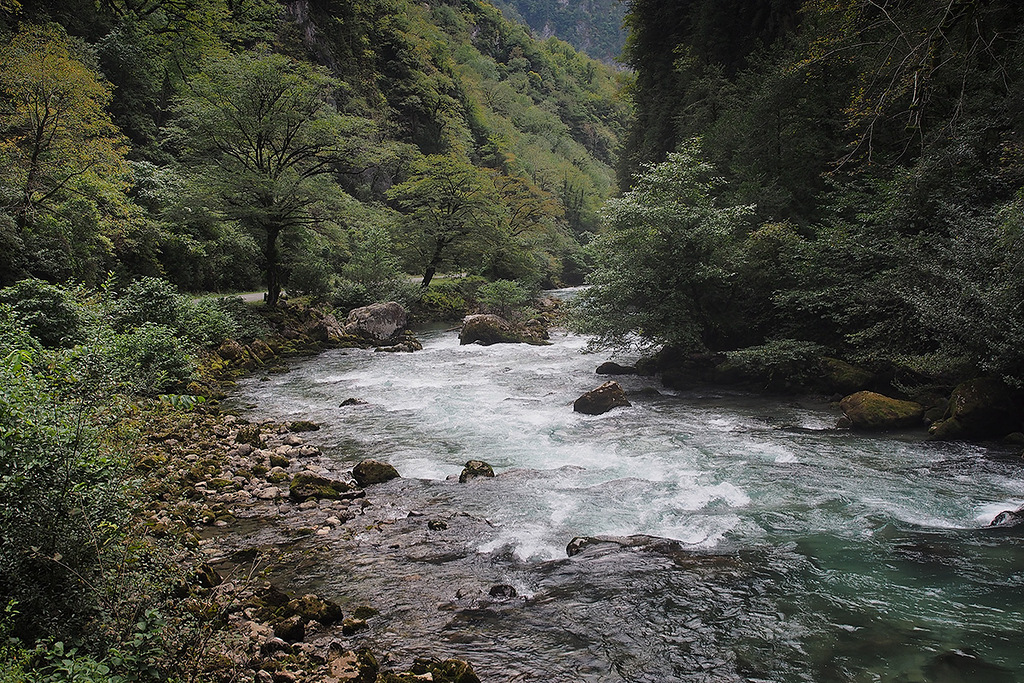 PA080248.jpg