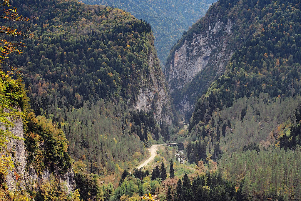 PA080296.jpg