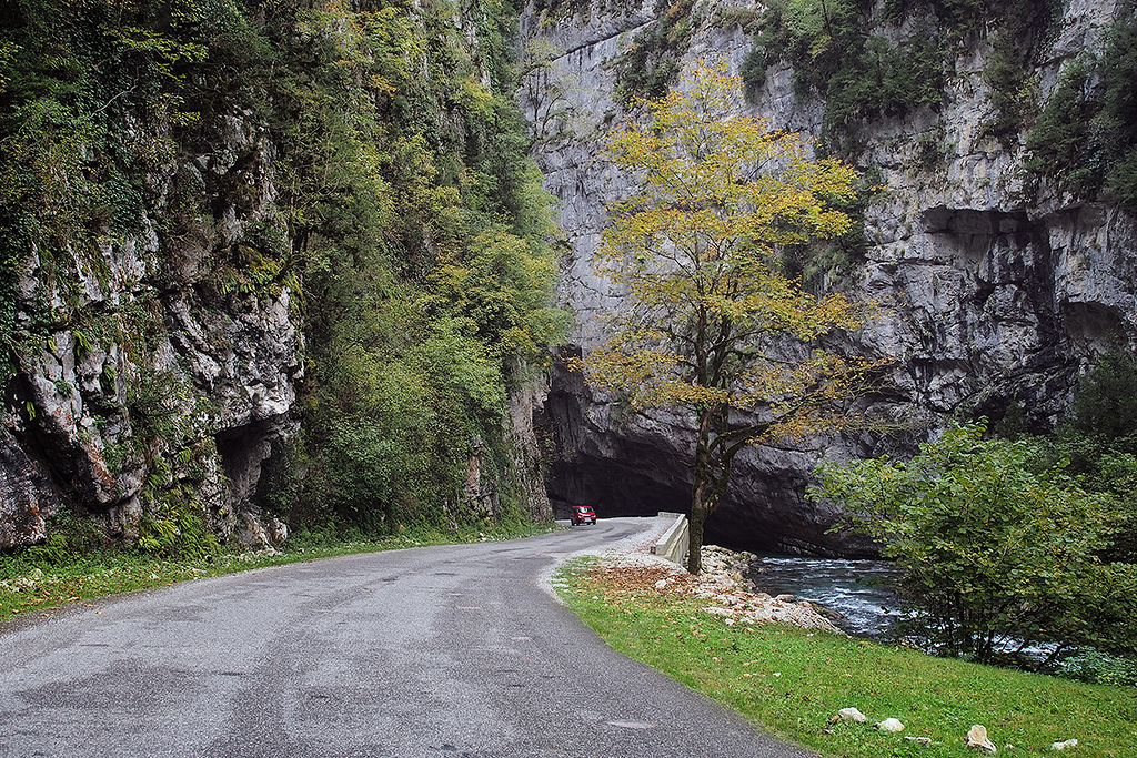 PA080332.jpg
