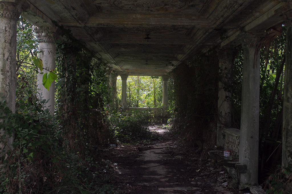 PA090569.jpg
