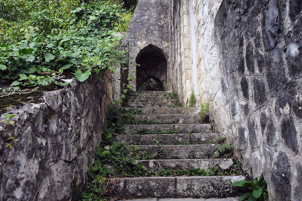 PA090699.jpg