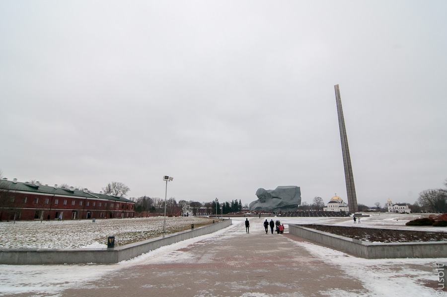 DSC_6253