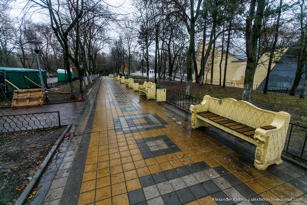 _MG_2581.jpg