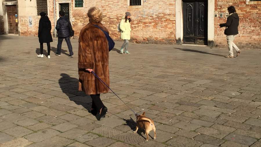 Выгул собаки на Санта Мария Формоза