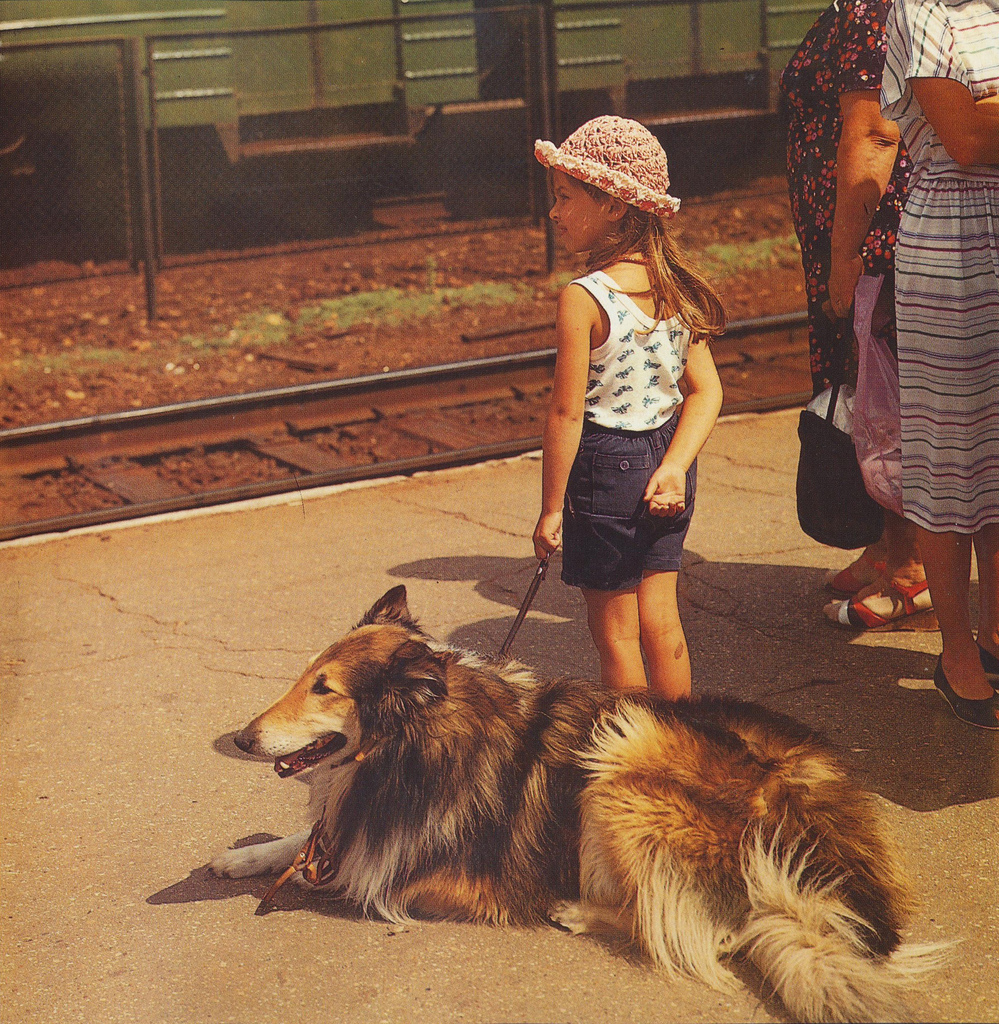 Girl with a dog