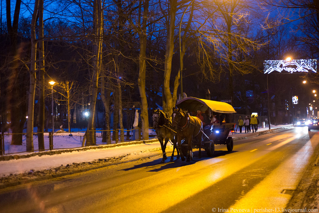 IMG_1231 imp13