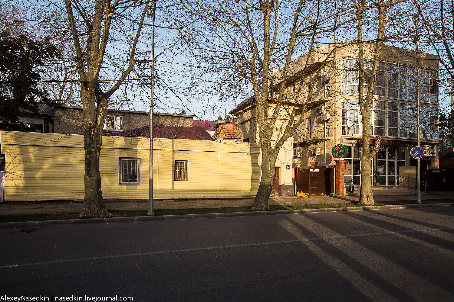_A8A9376.jpg