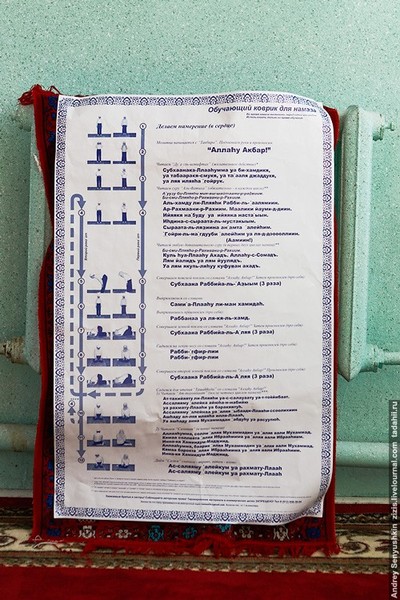 Камские Поляны