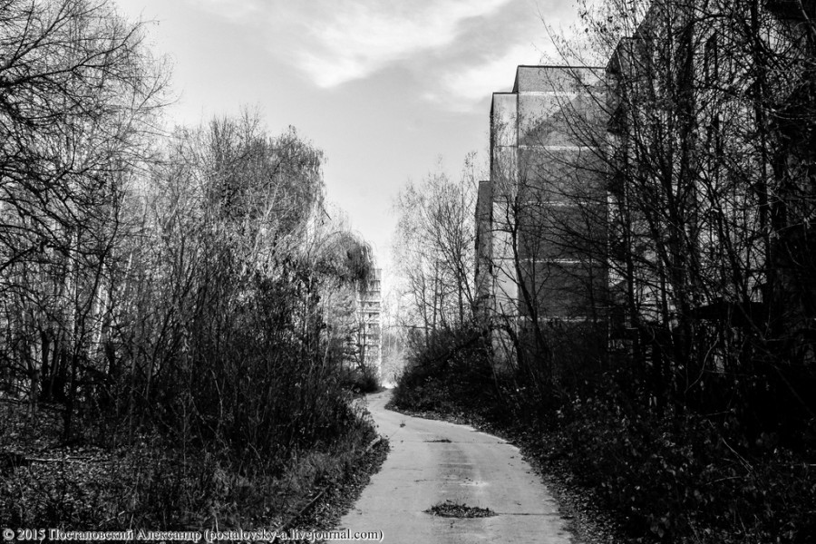 IMG_5159 (Копировать) (Копировать)