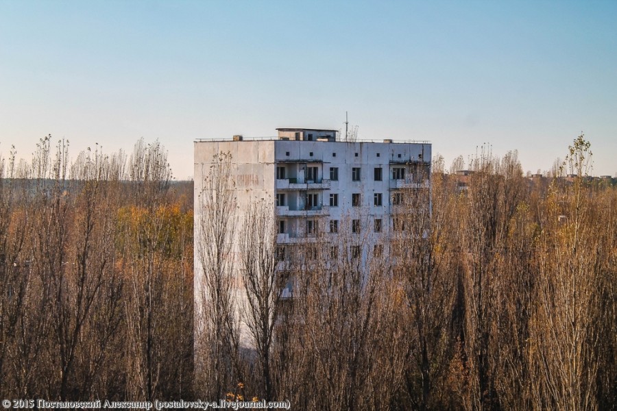 IMG_7732 (Копировать) (Копировать)
