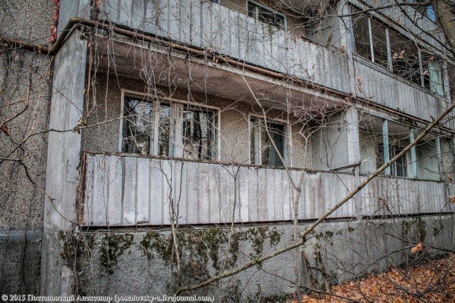 IMG_5313 (Копировать) (Копировать)