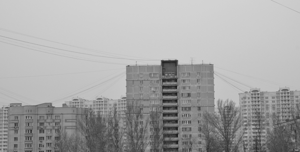 DSC_9348.JPG