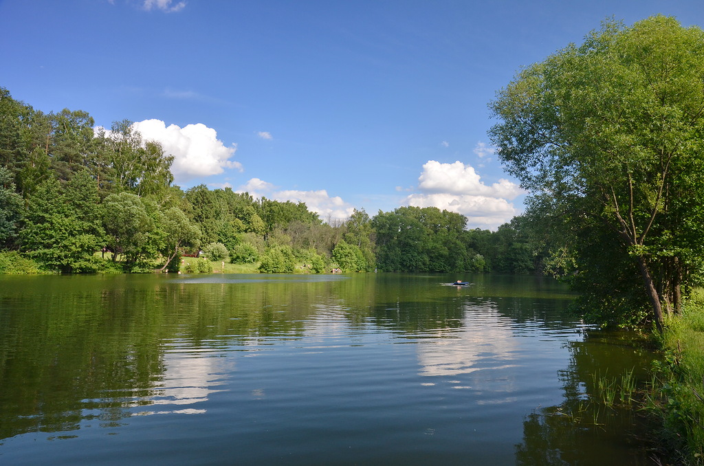 DSC_2602.JPG